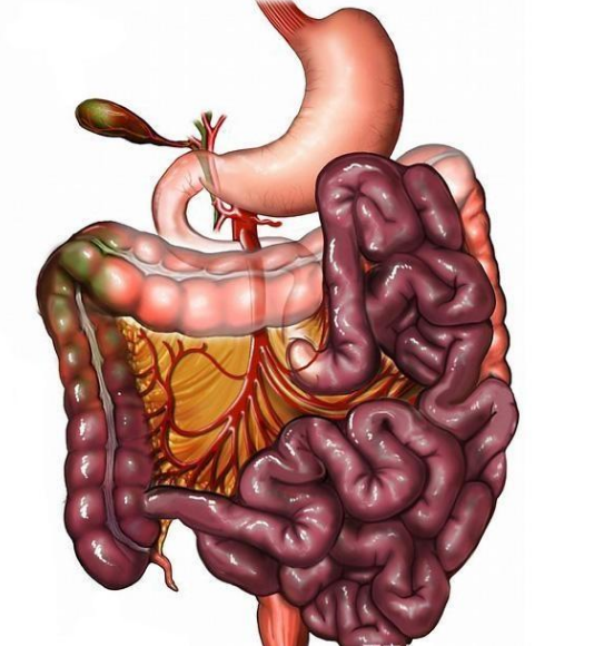 腸息肉者，排便出現(xiàn)3個異常，十有八九息肉已變成“癌”